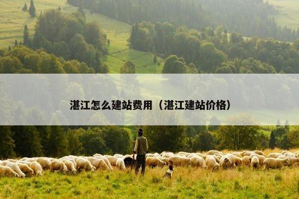 湛江怎么建站费用（湛江建站价格）