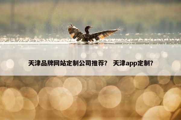 天津品牌网站定制公司推荐？ 天津app定制？