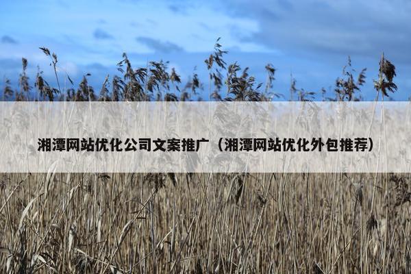 湘潭网站优化公司文案推广（湘潭网站优化外包推荐）