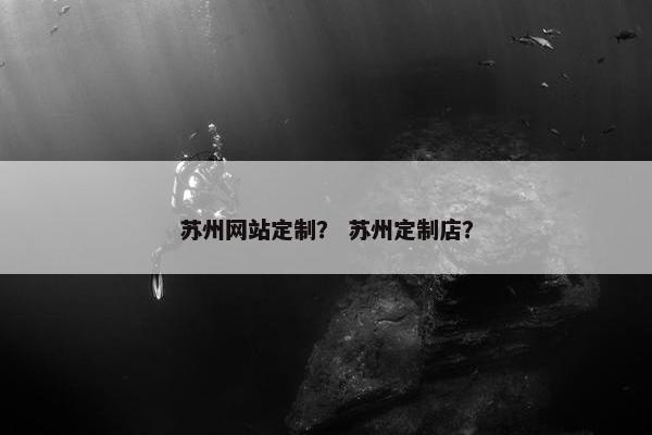 苏州网站定制？ 苏州定制店？