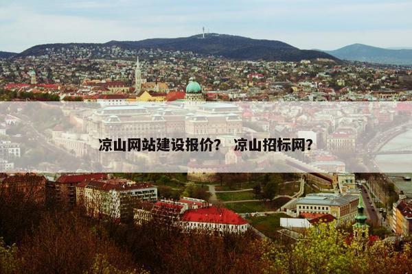 凉山网站建设报价？ 凉山招标网？