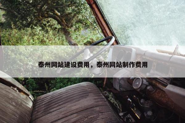 泰州网站建设费用，泰州网站制作费用