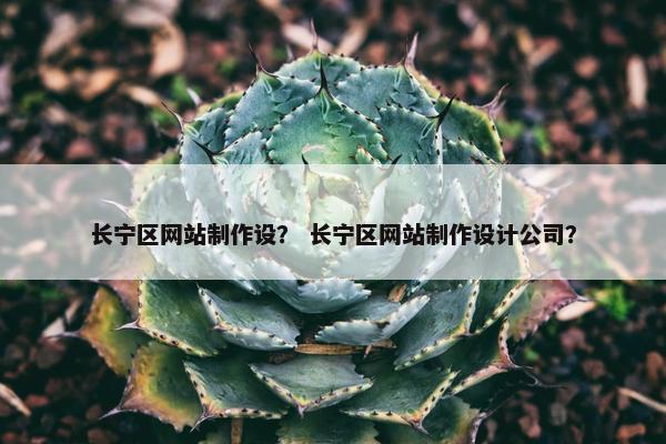 长宁区网站制作设？ 长宁区网站制作设计公司？