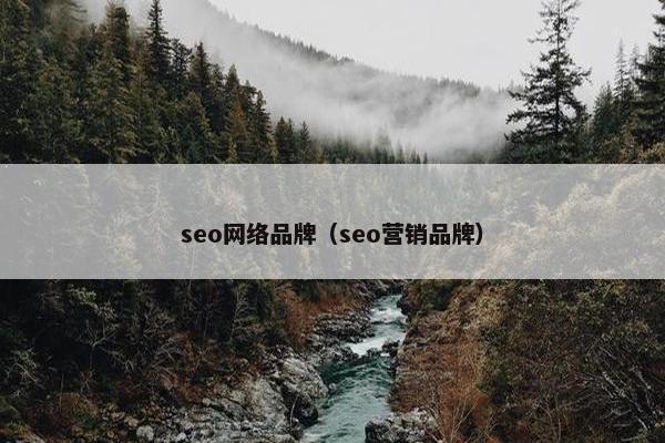 seo网络品牌（seo营销品牌）
