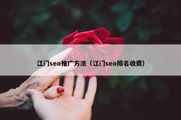 江门seo推广方法（江门seo排名收费）