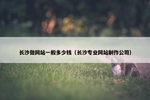 长沙做网站一般多少钱（长沙专业网站制作公司）