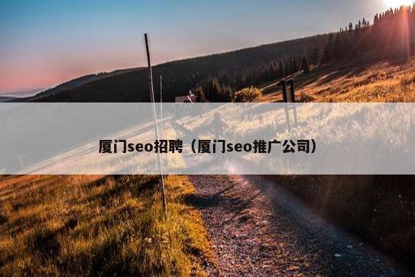 厦门seo招聘（厦门seo推广公司）