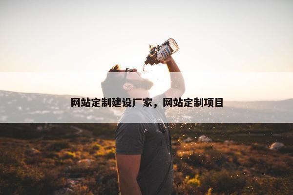 网站定制建设厂家，网站定制项目