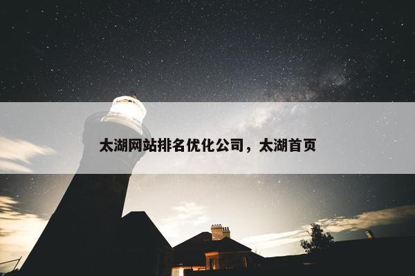 太湖网站排名优化公司，太湖首页