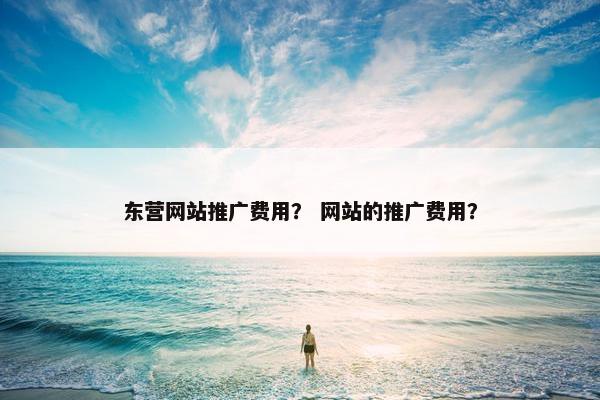 东营网站推广费用？ 网站的推广费用？