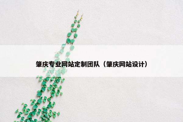 肇庆专业网站定制团队（肇庆网站设计）