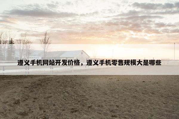 遵义手机网站开发价格，遵义手机零售规模大是哪些