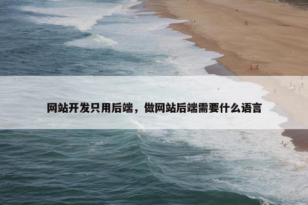 网站开发只用后端，做网站后端需要什么语言