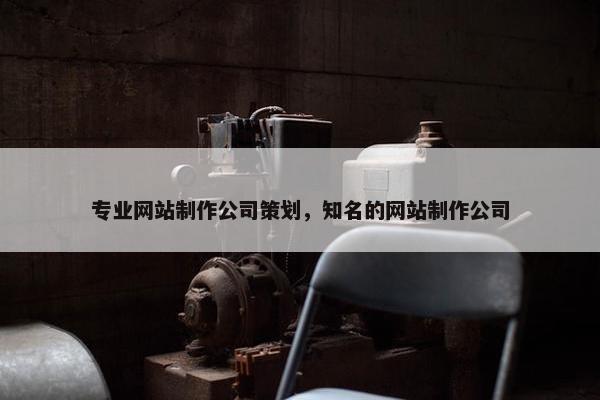 专业网站制作公司策划，知名的网站制作公司