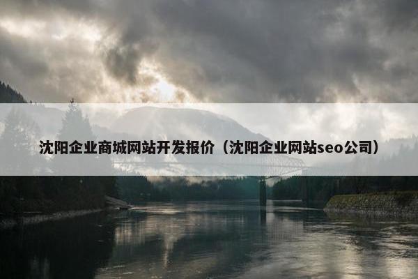 沈阳企业商城网站开发报价（沈阳企业网站seo公司）