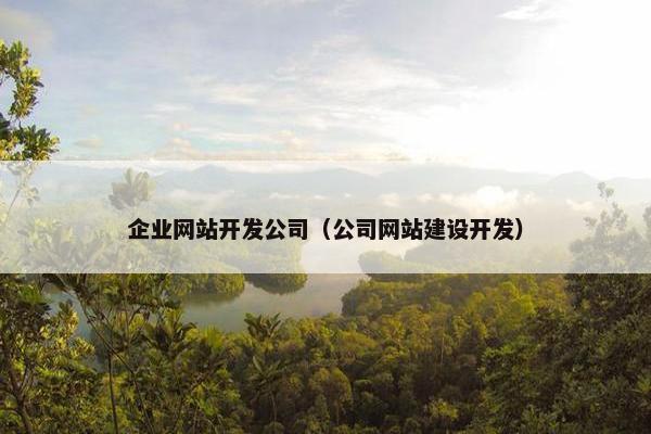 企业网站开发公司（公司网站建设开发）