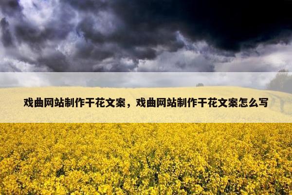 戏曲网站制作干花文案，戏曲网站制作干花文案怎么写