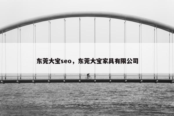 东莞大宝seo，东莞大宝家具有限公司
