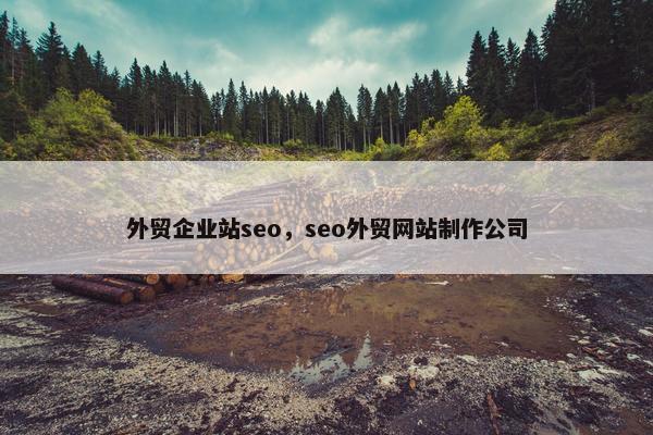 外贸企业站seo，seo外贸网站制作公司