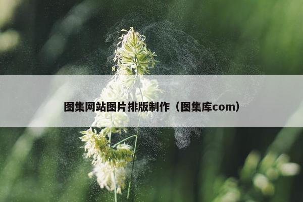 图集网站图片排版制作（图集库com）