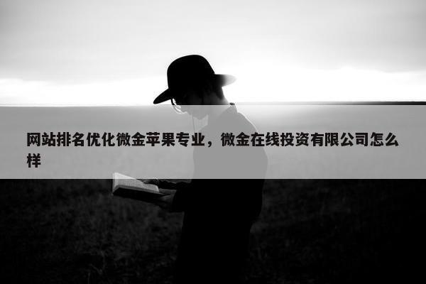 网站排名优化微金苹果专业，微金在线投资有限公司怎么样
