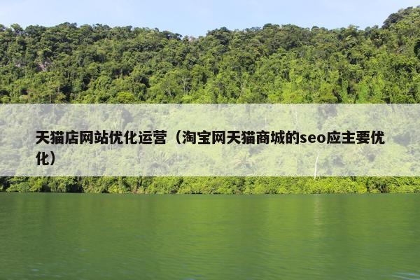 天猫店网站优化运营（淘宝网天猫商城的seo应主要优化）