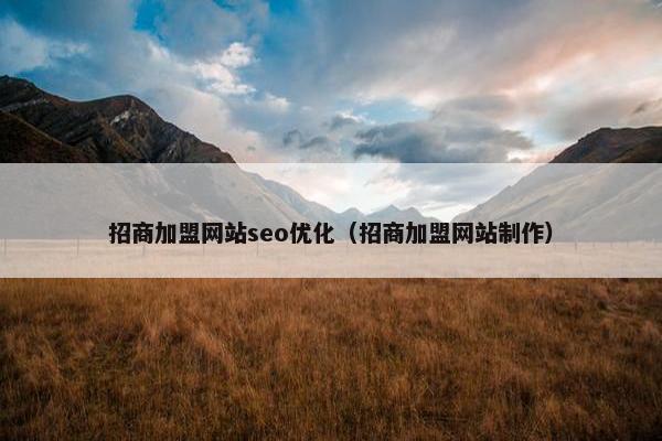 招商加盟网站seo优化（招商加盟网站制作）