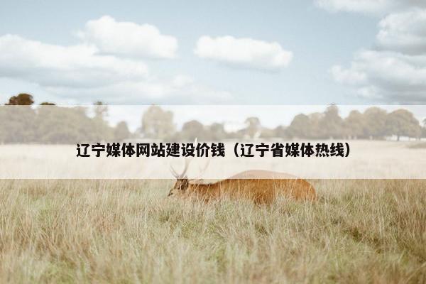 辽宁媒体网站建设价钱（辽宁省媒体热线）