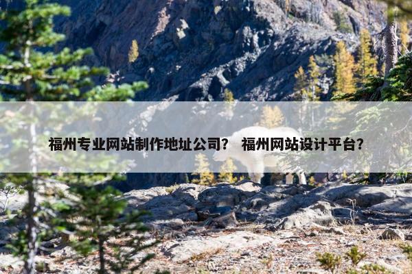 福州专业网站制作地址公司？ 福州网站设计平台？
