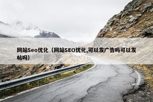 网站Seo优化（网站SEO优化,可以发广告吗可以发帖吗）