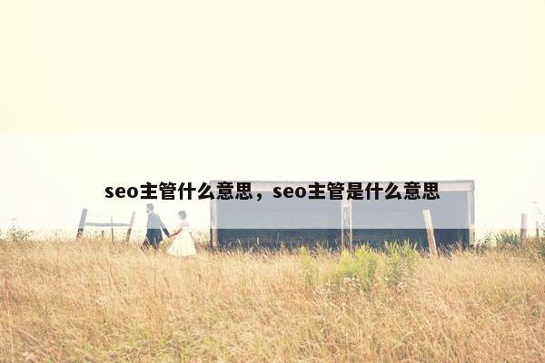 seo主管什么意思，seo主管是什么意思