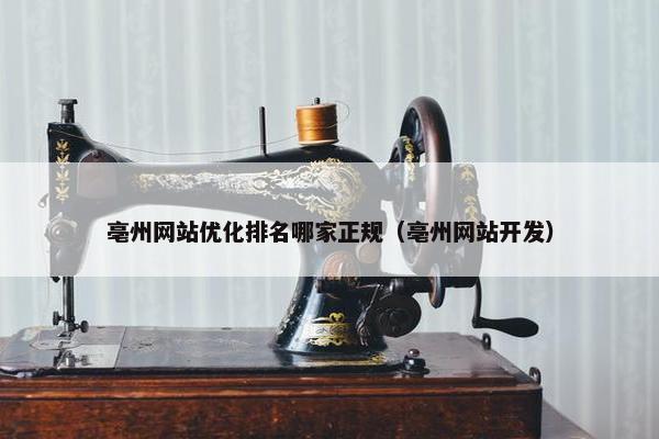 亳州网站优化排名哪家正规（亳州网站开发）