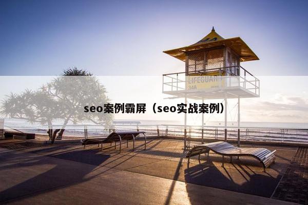 seo案例霸屏（seo实战案例）
