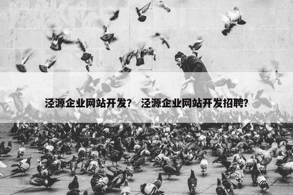 泾源企业网站开发？ 泾源企业网站开发招聘？