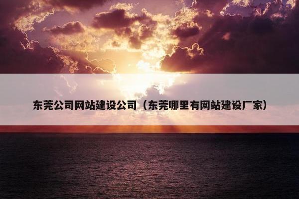 东莞公司网站建设公司（东莞哪里有网站建设厂家）