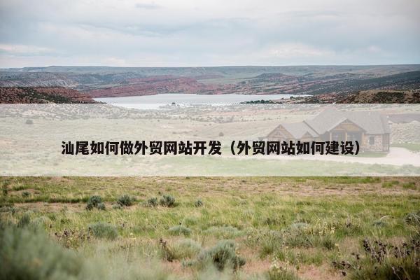 汕尾如何做外贸网站开发（外贸网站如何建设）