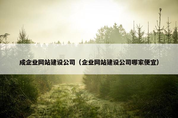 成企业网站建设公司（企业网站建设公司哪家便宜）