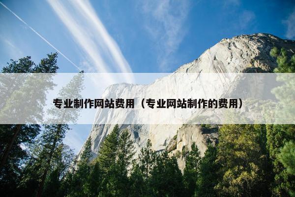 专业制作网站费用（专业网站制作的费用）