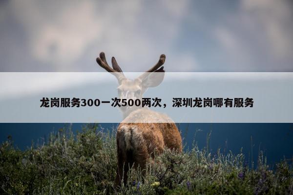 龙岗服务300一次500两次，深圳龙岗哪有服务
