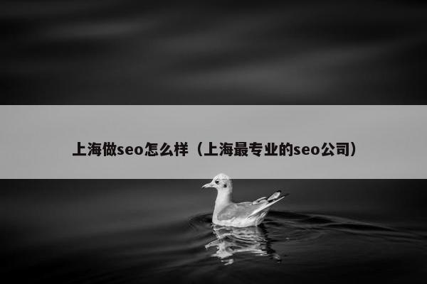 上海做seo怎么样（上海最专业的seo公司）
