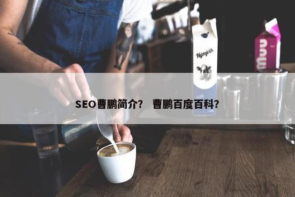 SEO曹鹏简介？ 曹鹏百度百科？