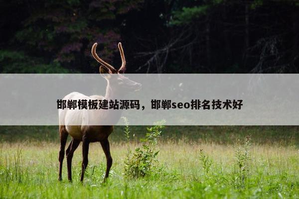 邯郸模板建站源码，邯郸seo排名技术好