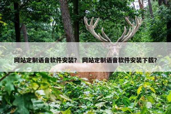网站定制语音软件安装？ 网站定制语音软件安装下载？
