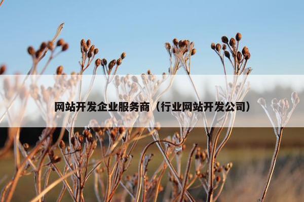 网站开发企业服务商（行业网站开发公司）