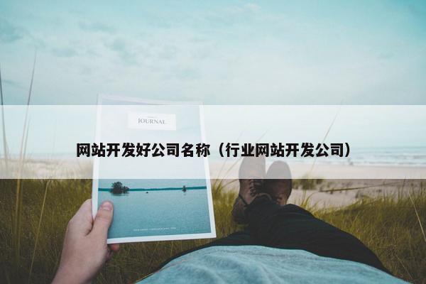 网站开发好公司名称（行业网站开发公司）