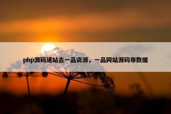 php源码建站去一品资源，一品网站源码带数据