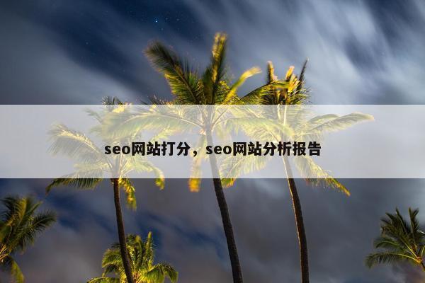 seo网站打分，seo网站分析报告