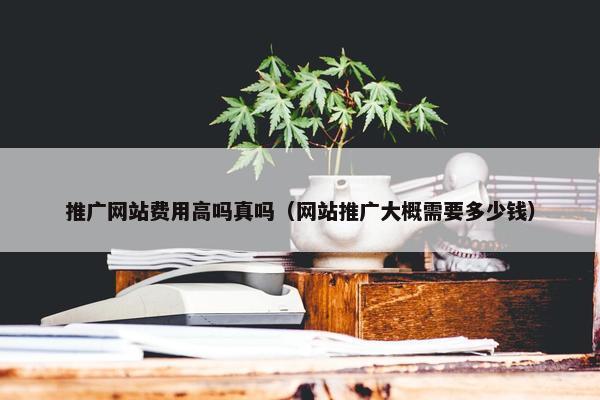 推广网站费用高吗真吗（网站推广大概需要多少钱）