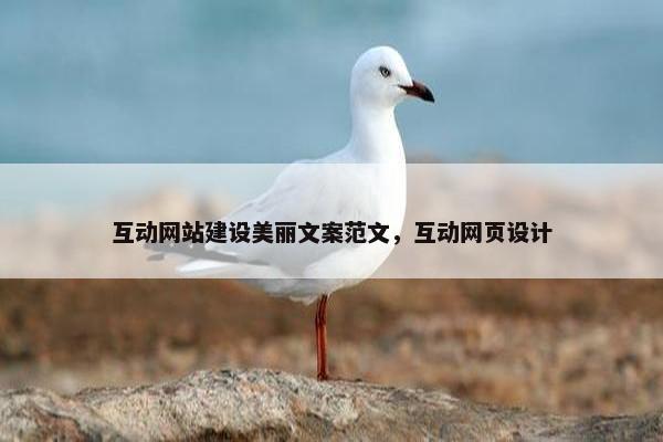 互动网站建设美丽文案范文，互动网页设计