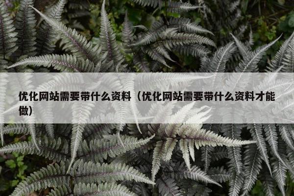 优化网站需要带什么资料（优化网站需要带什么资料才能做）